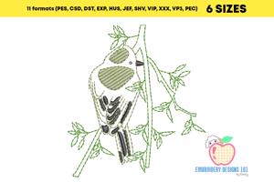 Northern beardless tyrannulet Sketch Embroidery
