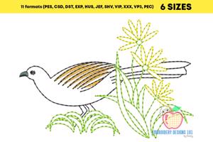 Chachalaca Bird Sketch Embroidery