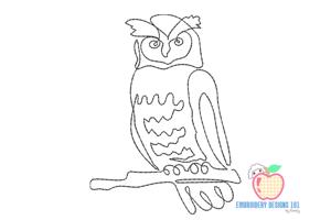 An Owl An The Quilt Quick Design