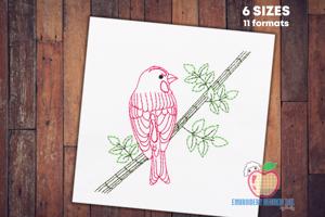 Cassin's finch Bird Quick Stitch