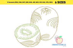 Fresh Kiwi Fruits Quick Design